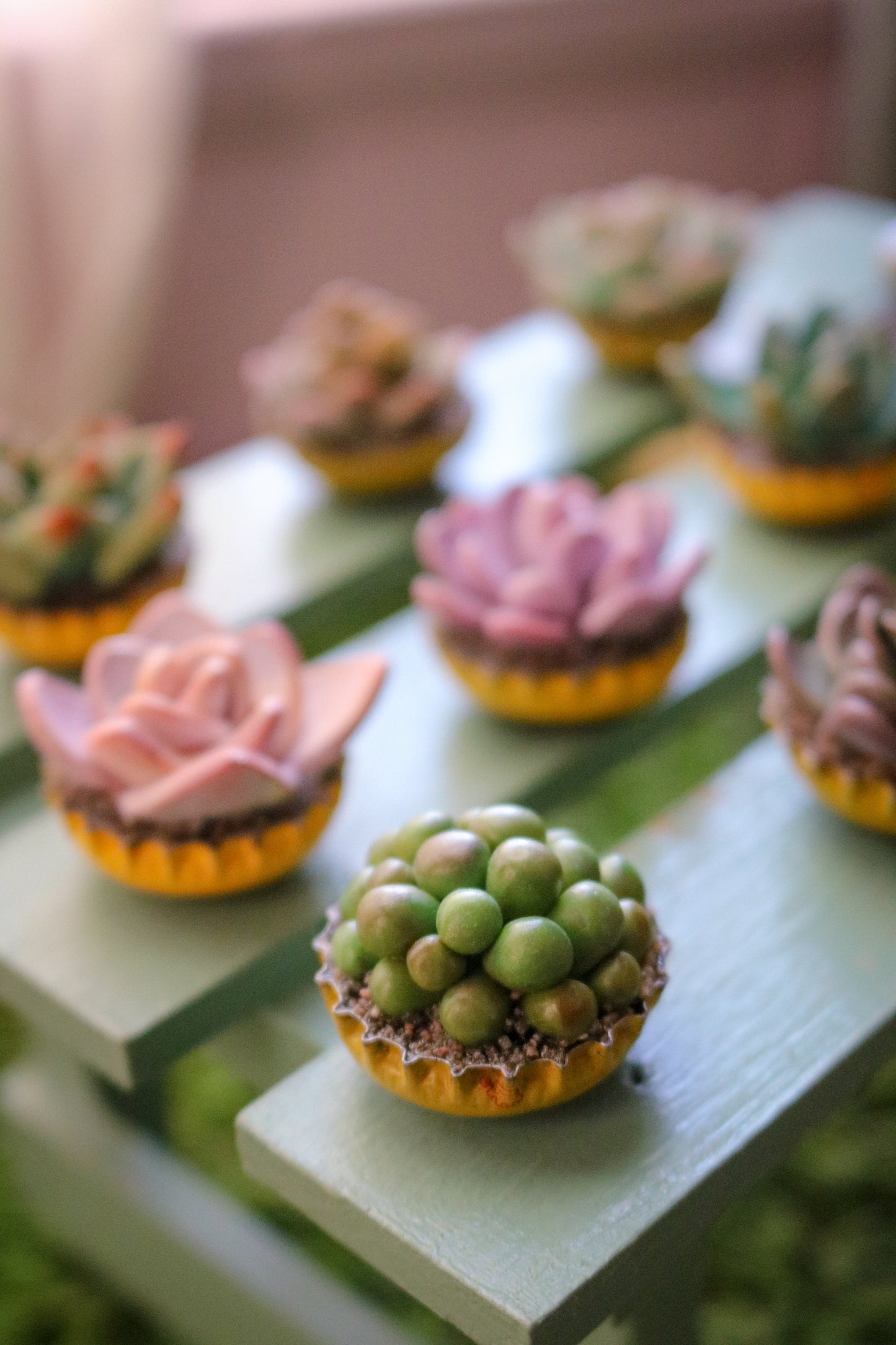 Pocket Plants, For Good